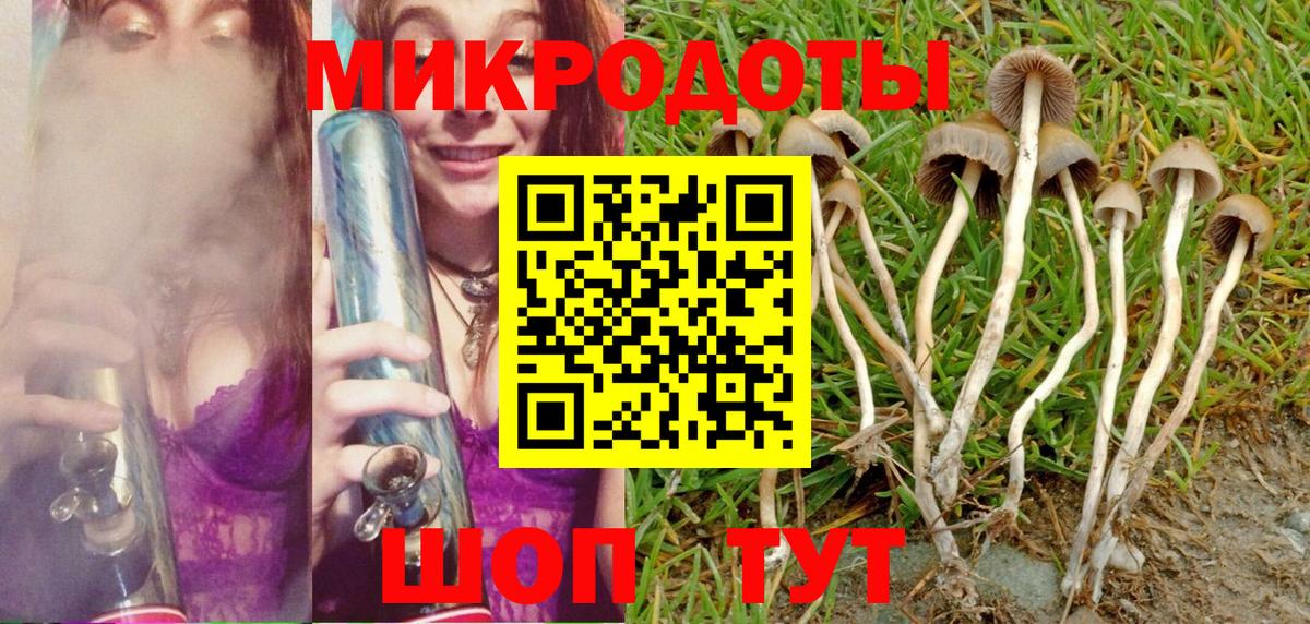 Моздок  Псилоцибиновые грибы мухоморы  Вход с VPN 